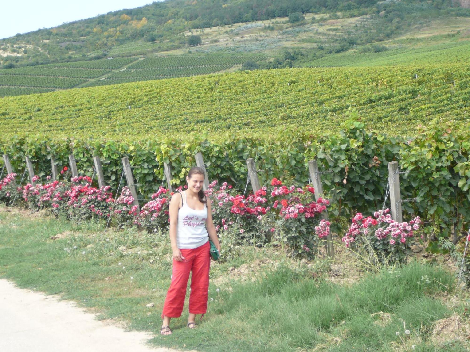 Bed and Breakfast Torkolat Panzió Tokaj Exterior foto
